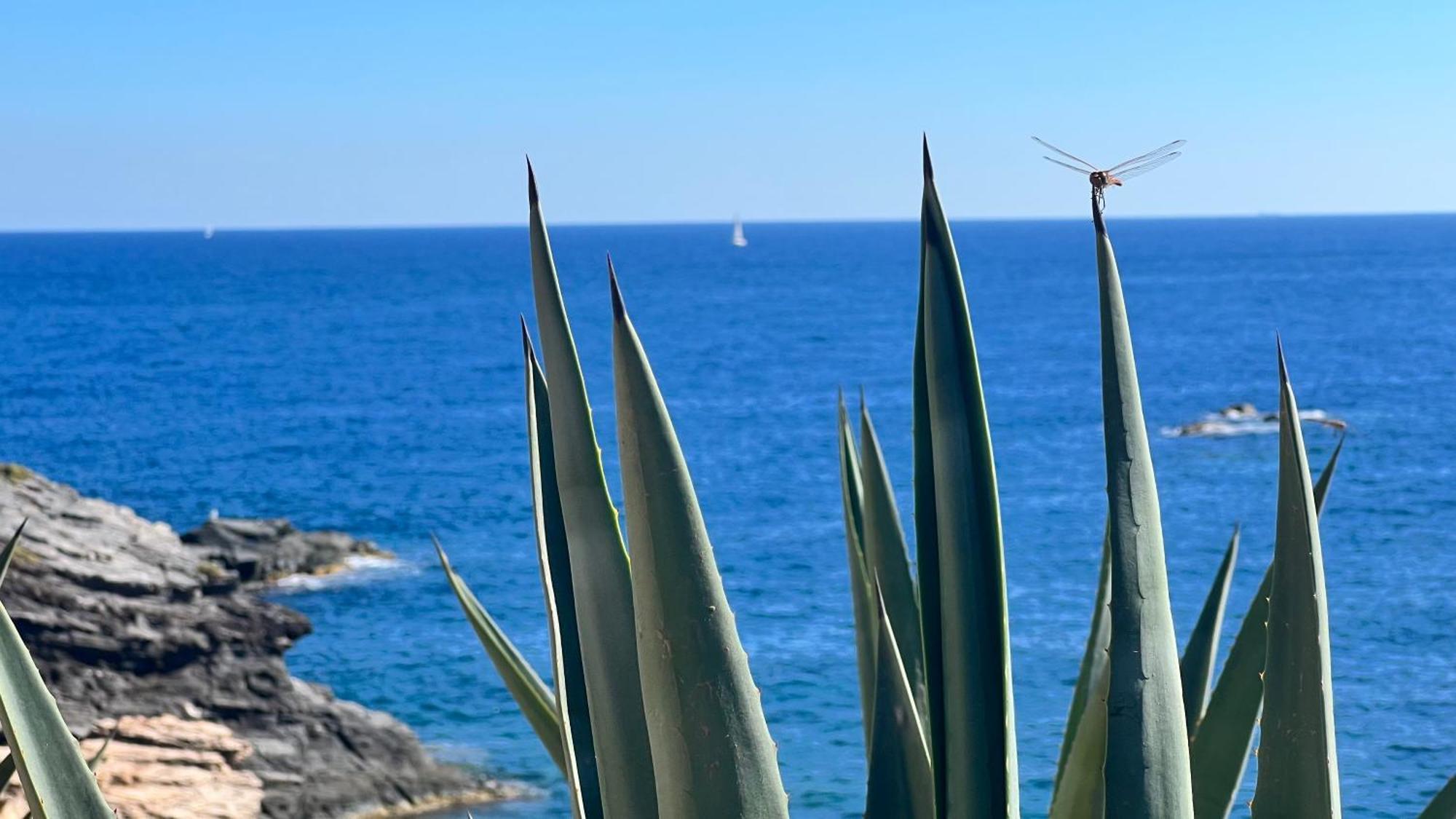 Apartment Turquesa Del Mar - Sun & Beach & Golf & Bike - Large Terrace Ground-Floor Spanish Apartment *